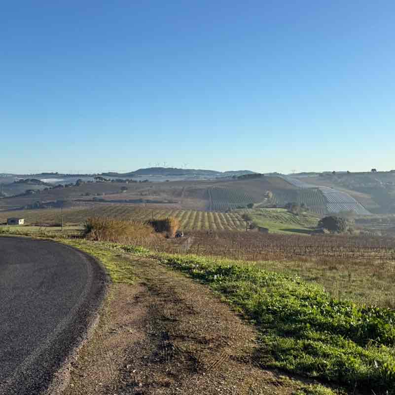 The Beautiful Souls💕 Cattitude post image