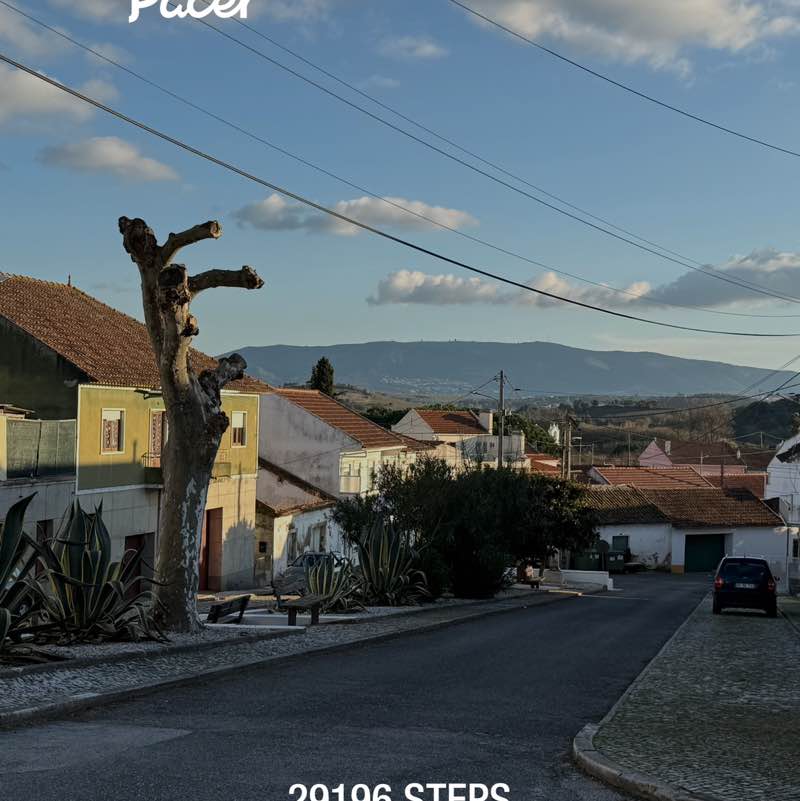 The Beautiful Souls💕 Cattitude post image