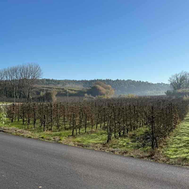 The Beautiful Souls💕 Cattitude post image