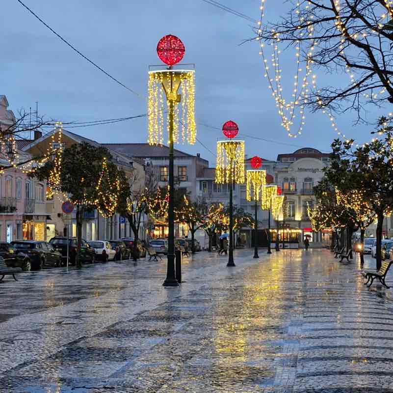 The Beautiful Souls💕 Cattitude post image