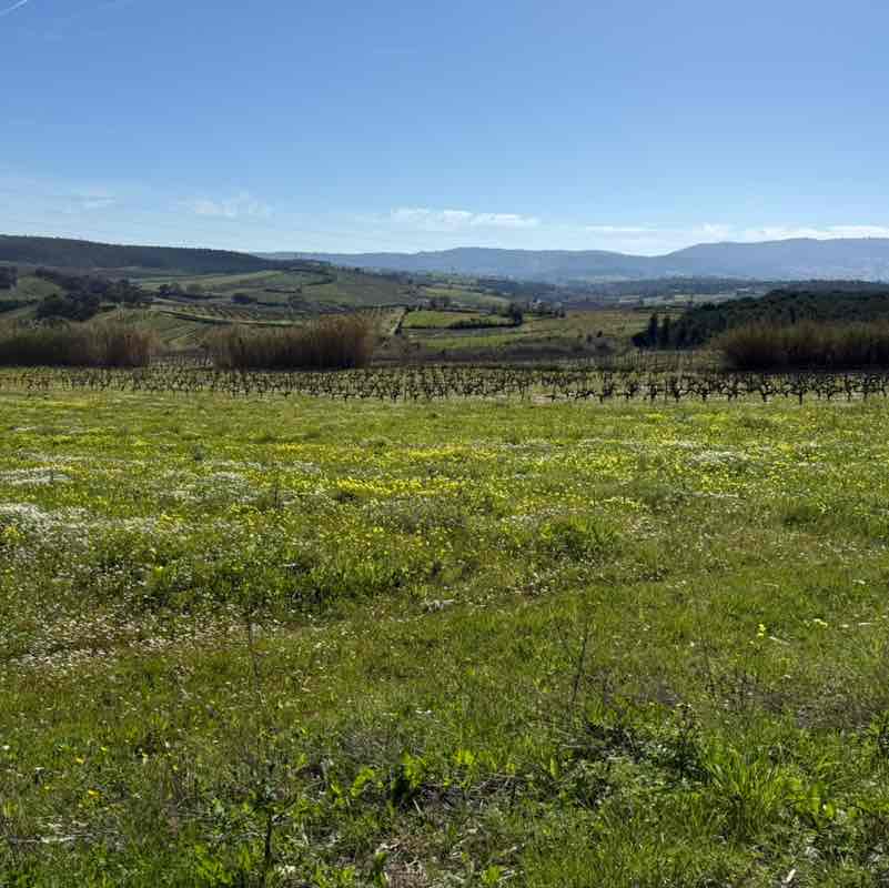 Muddy Boots Cattitude post image