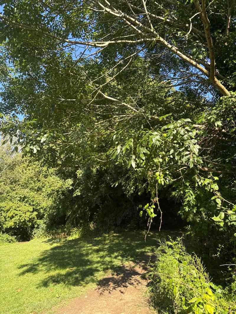 walking near me in Abbeymead Contour Park in summer