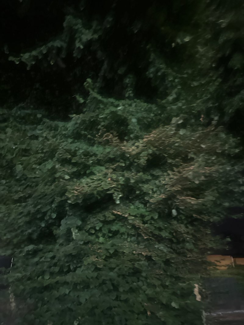 walking near me in Plockcourt Playing fields in summer