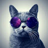 Edson