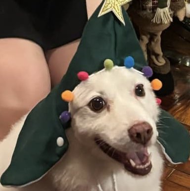 Ralph Christian icon