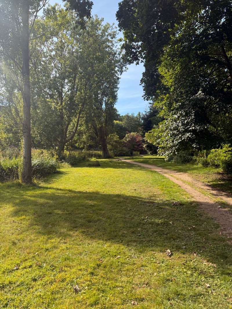 walking near me in Lower Gardens in summer