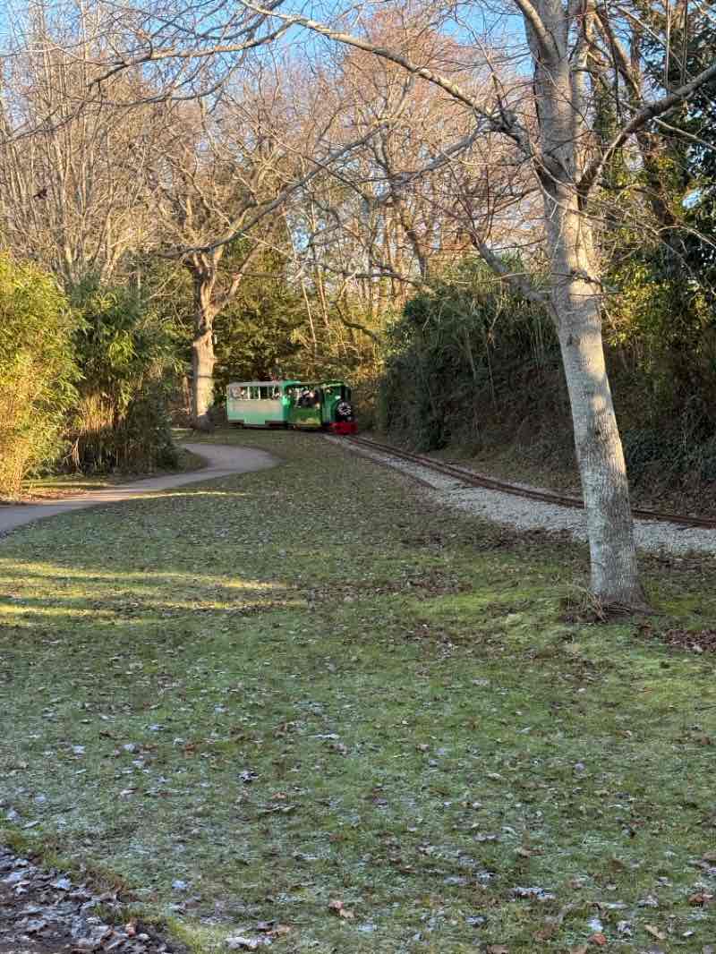 walking near me in Poole Park in winter