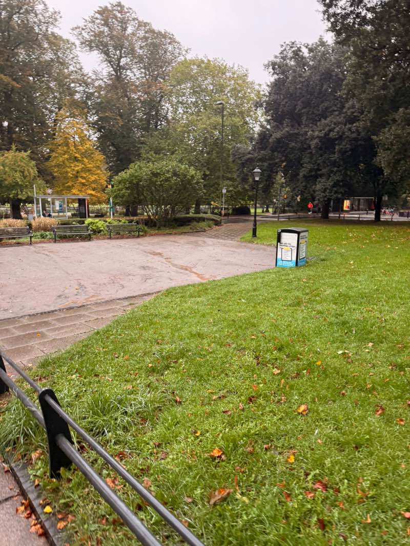 walking near me in Houndwell Park in autumn