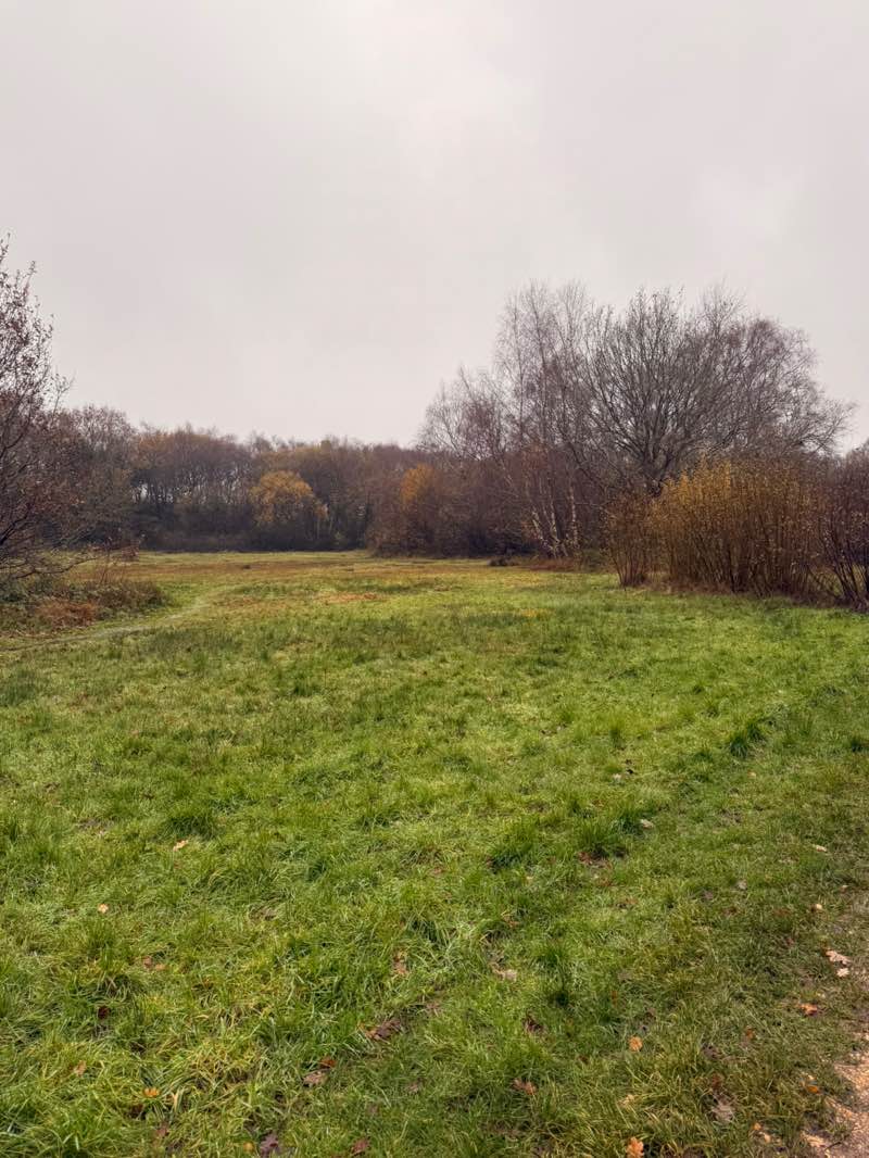 walking near me in Pocket Park in winter