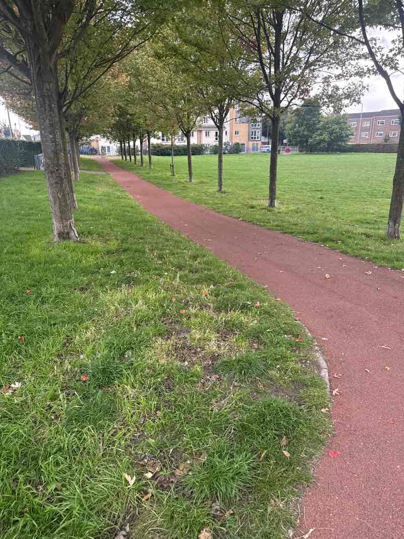 walking near me in Oakdale Park play area in autumn