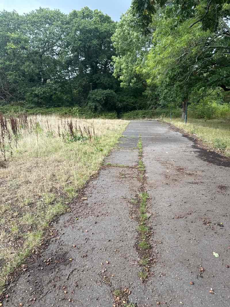 walking near me in Kinson Common in autumn