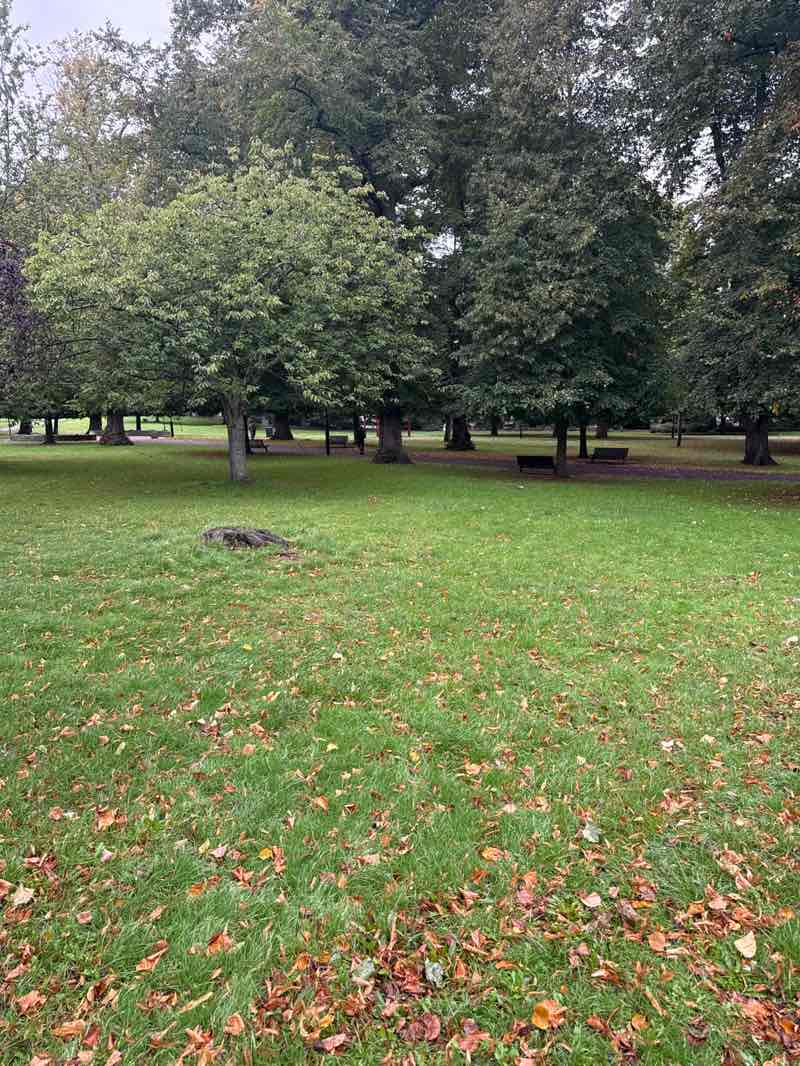 walking near me in Palmerston Park in autumn