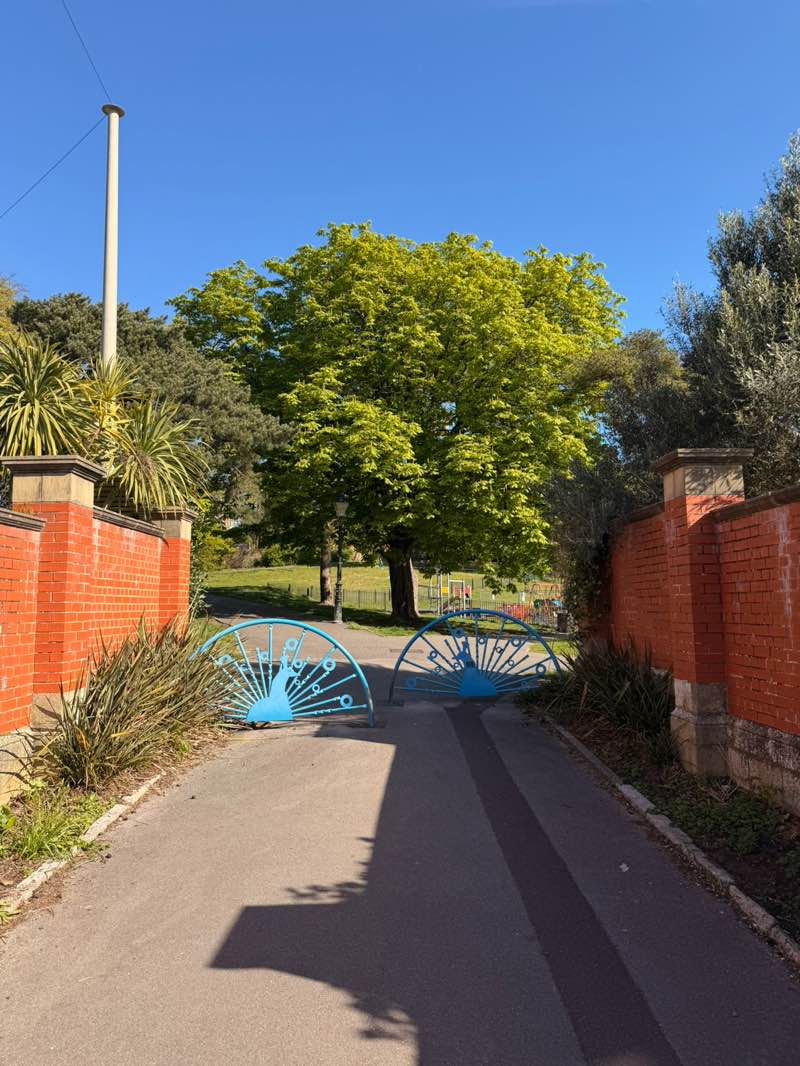 walking near me in Alexandra Park in spring