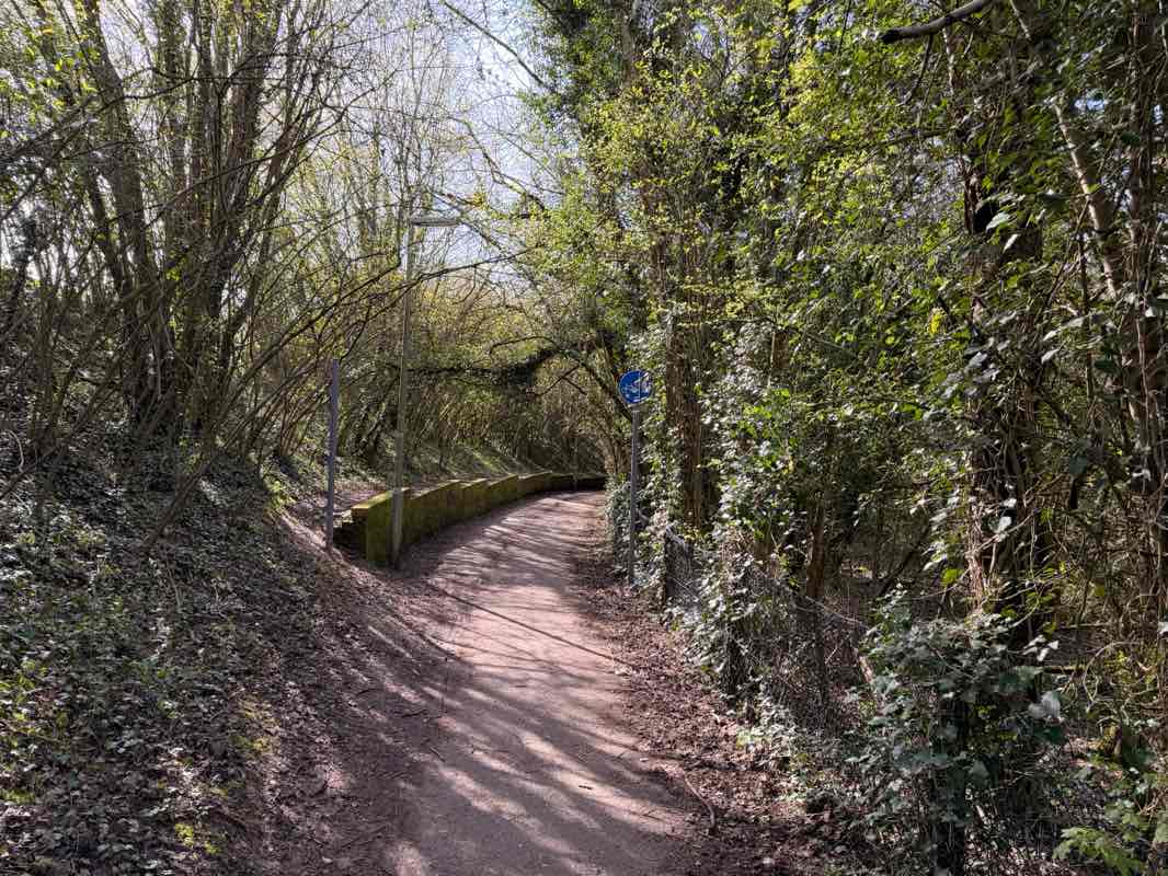 walking near me in Town Park in spring