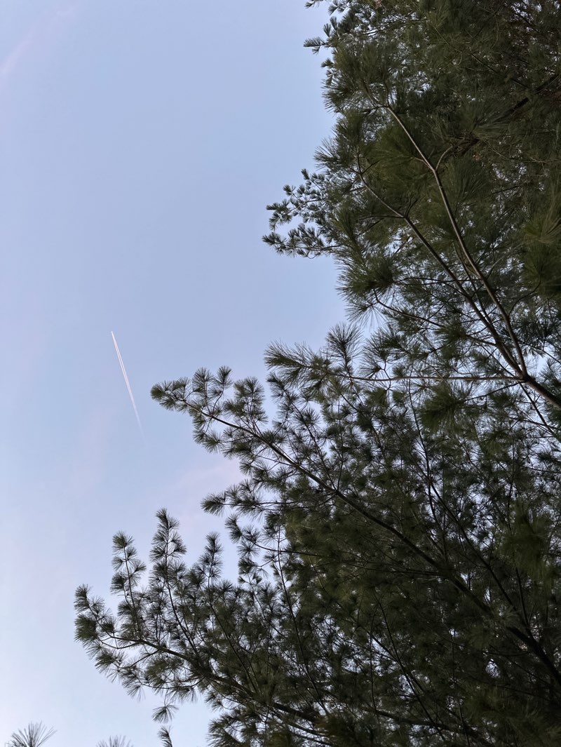 walking near me in Parcul Ștrand in autumn