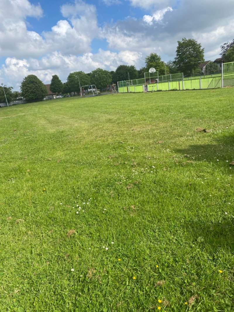 walking near me in Seán Cronin Park in spring