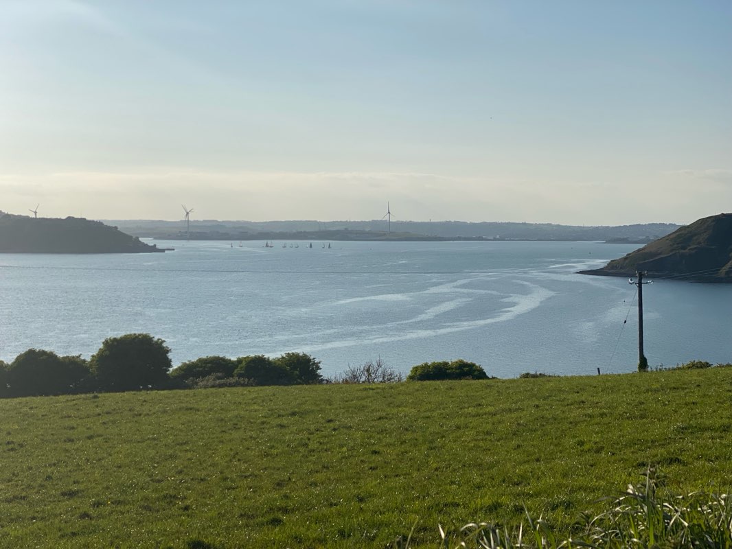 walking near me in The Marina in spring