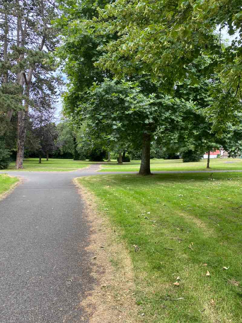 walking near me in Lough Mahon Park in summer
