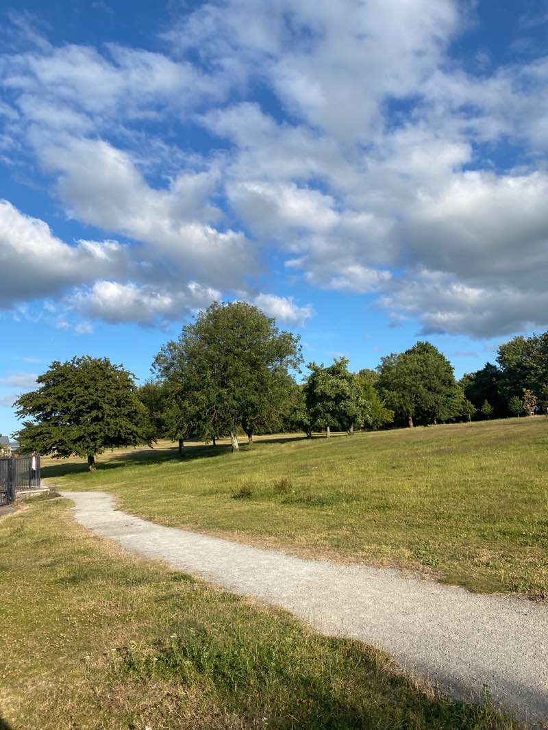 walking near me in Skehard Road Park - Area 1 in summer