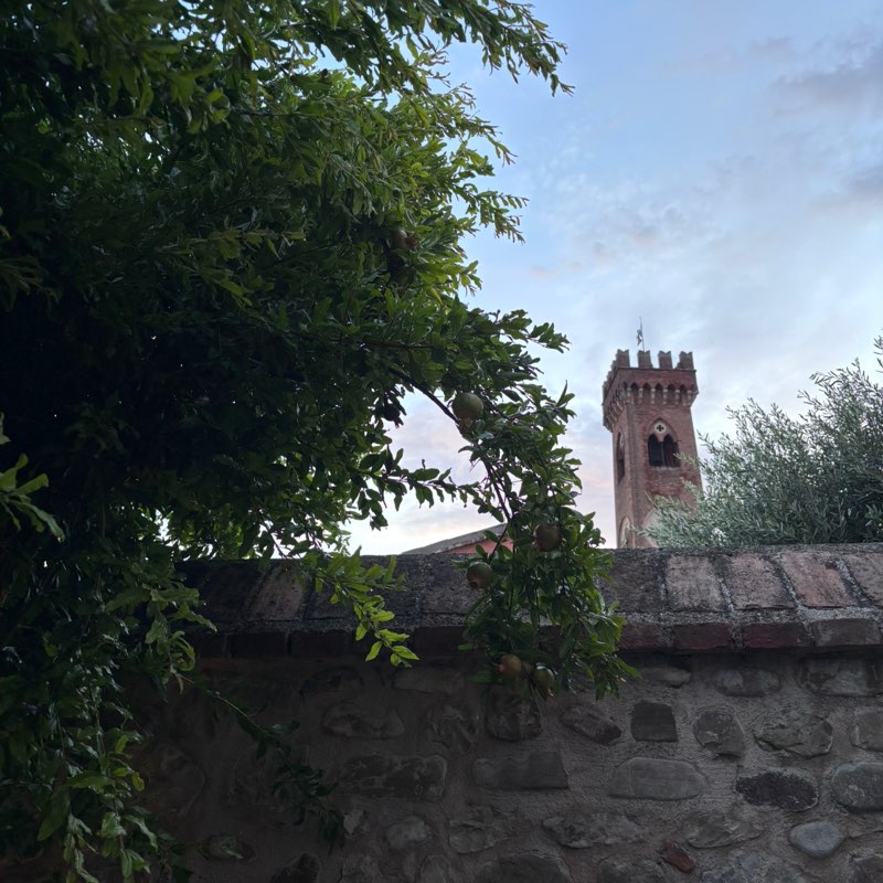 Elisabetta