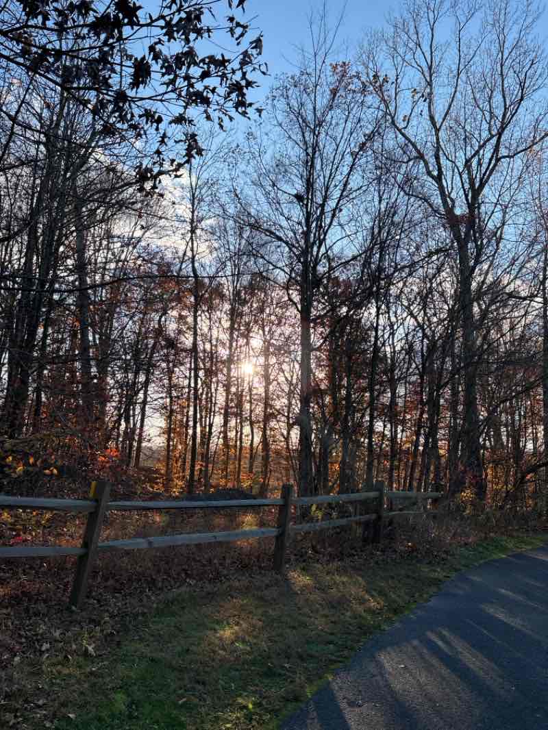 walking near me in Davidsonville Park in autumn