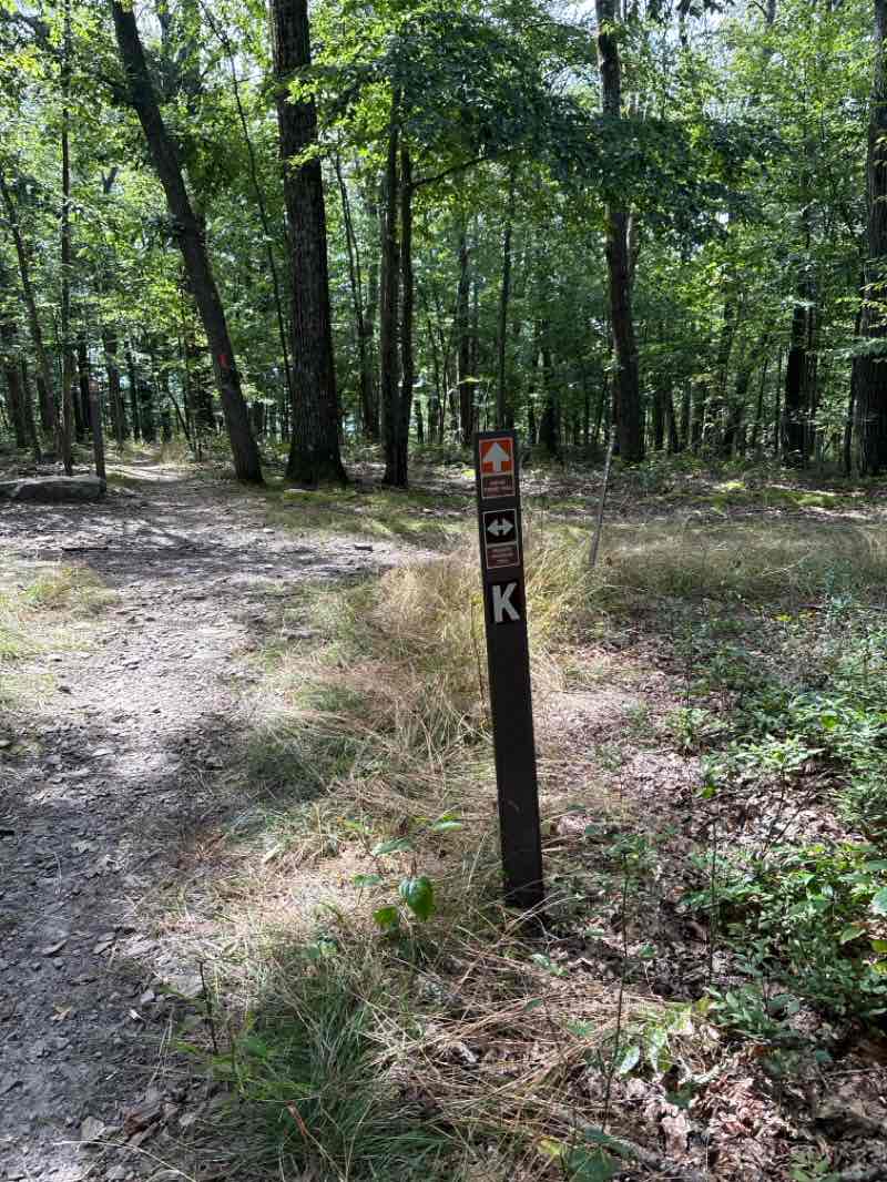 walking near me in Deep Creek Lake State Park in autumn