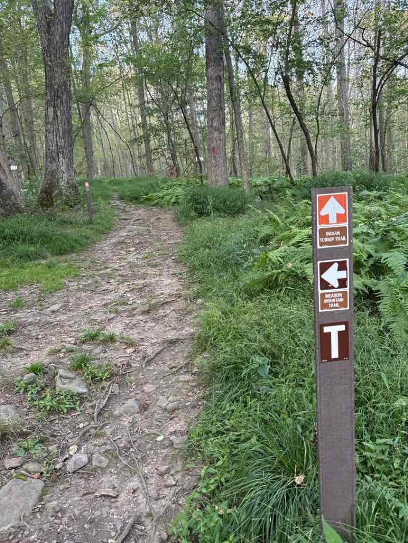 walking near me in Deep Creek Lake Natural Resource Management Area in autumn