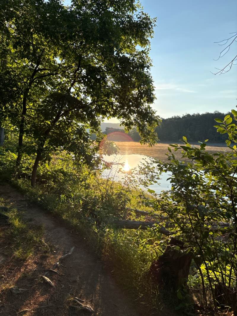 walking near me in Rocky Gap State Park in summer