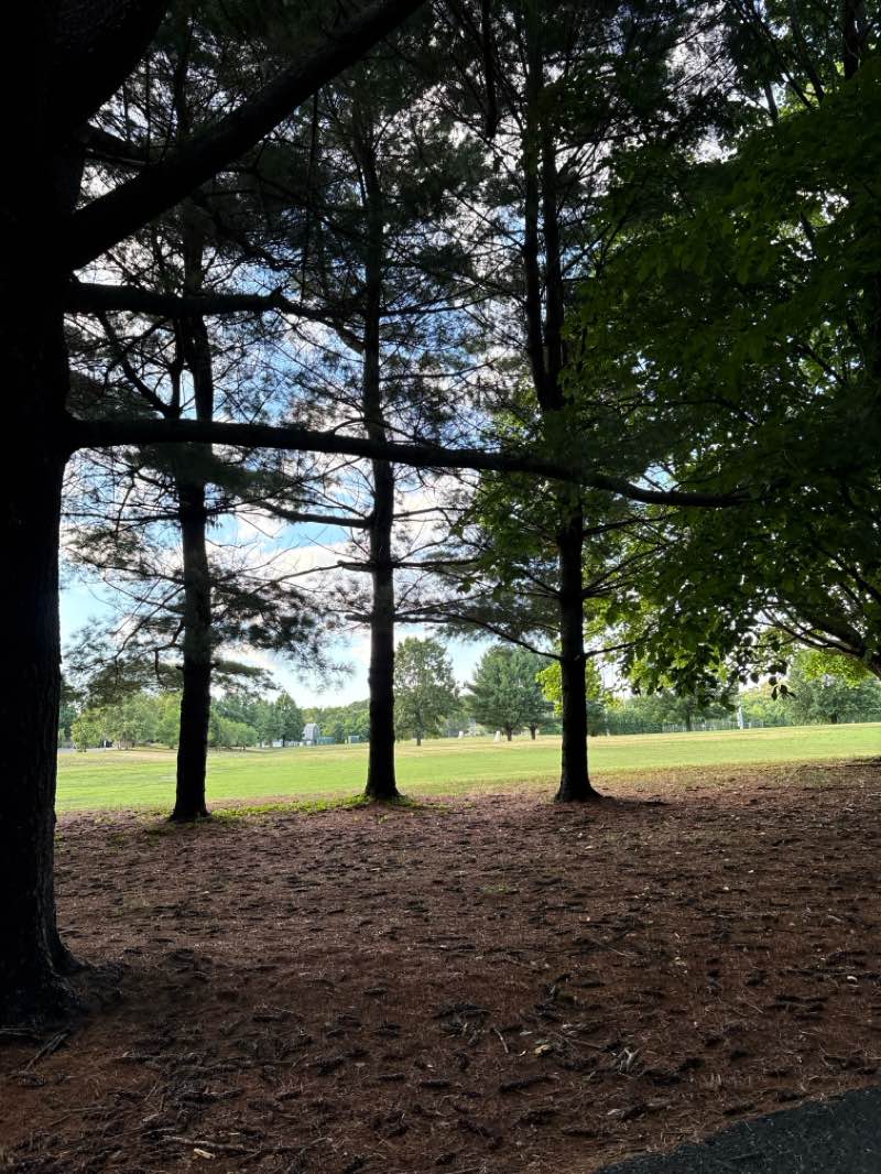 walking near me in Baltimore & Annapolis Trail in summer