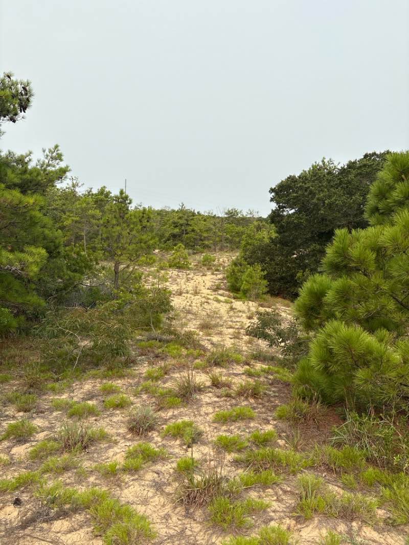 walking near me in First Flight High School in summer
