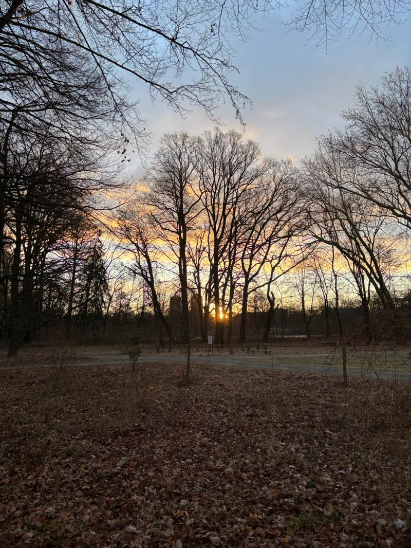 walking near me in Wittelsbacher Park in winter