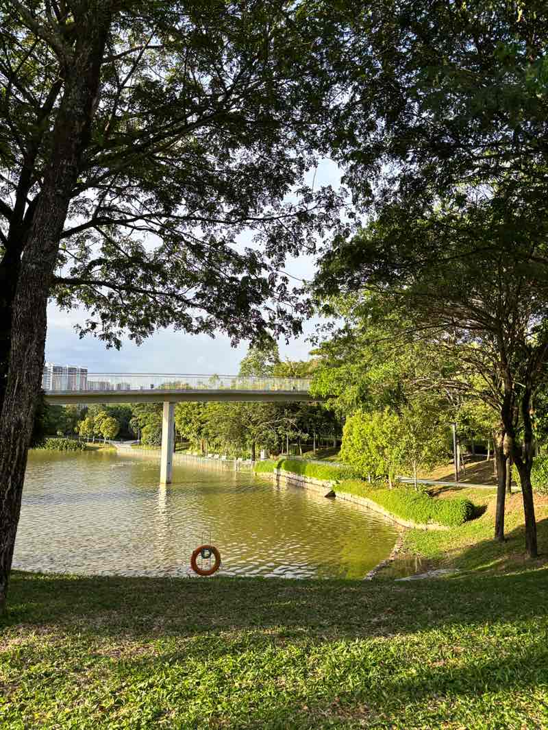 walking near me in Central Park in autumn