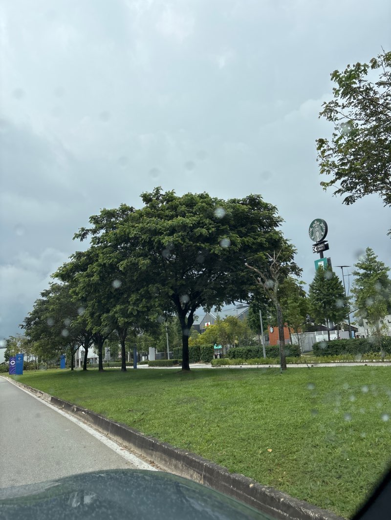 walking near me in Discovery Park in winter