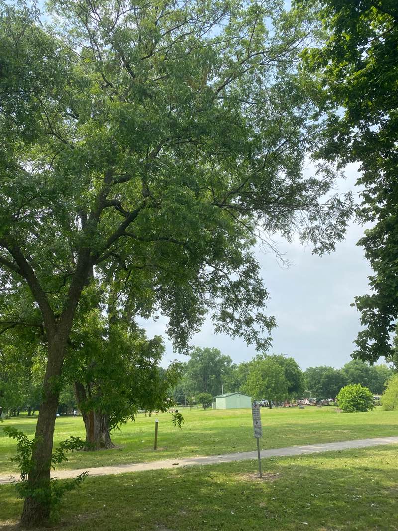 walking near me in Powder Creek Park in spring