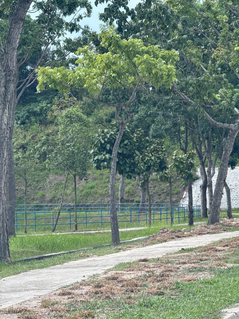walking near me in Taman Tasik Nilai Impian in autumn