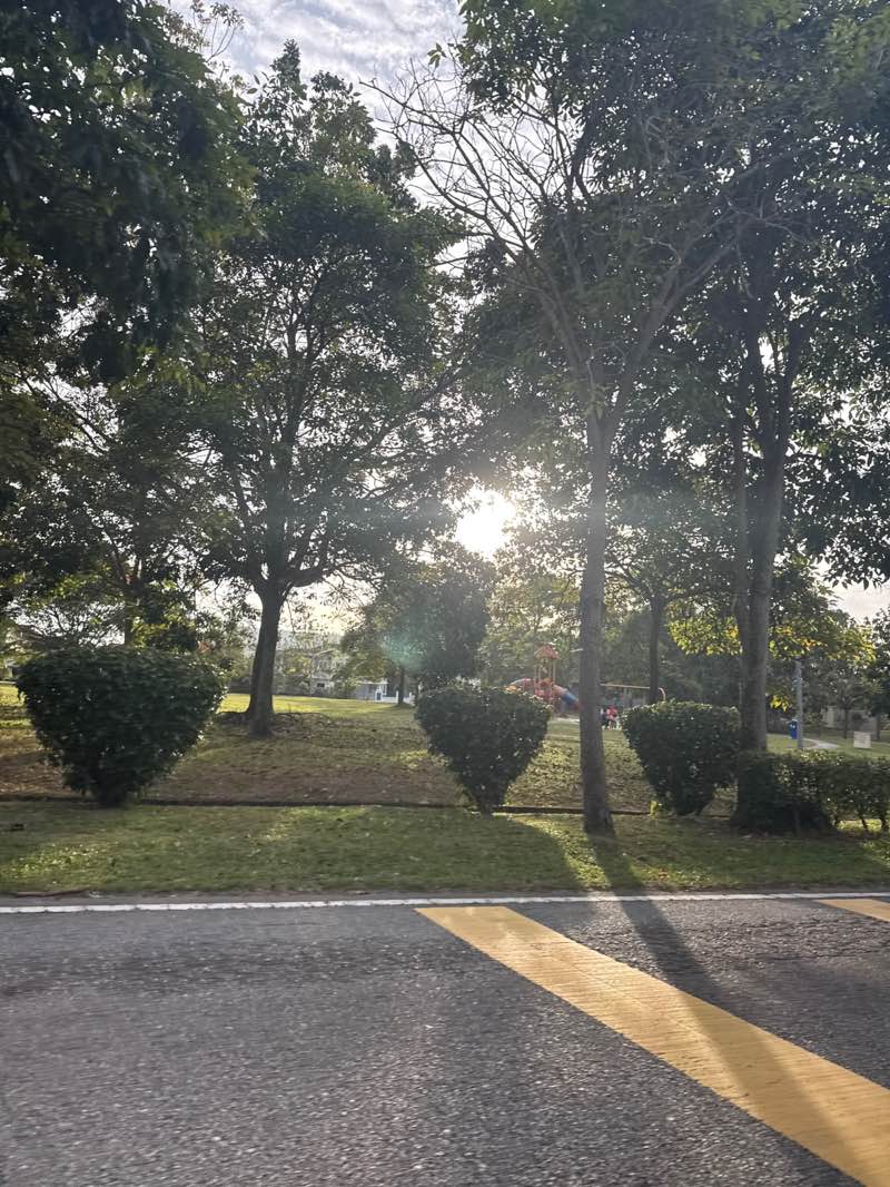 walking near me in Playground BSP 3 in winter