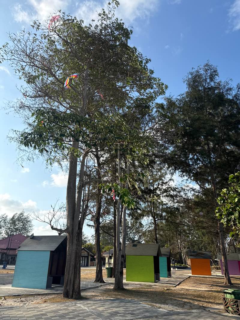 walking near me in Tanjung Balau Park in spring