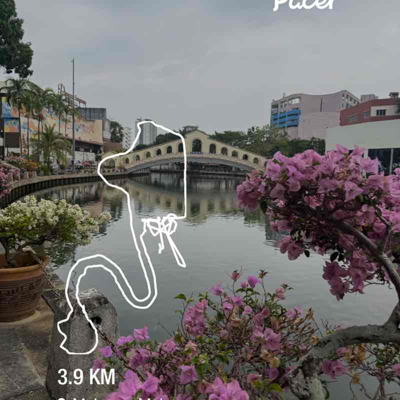 Adlikha post 1