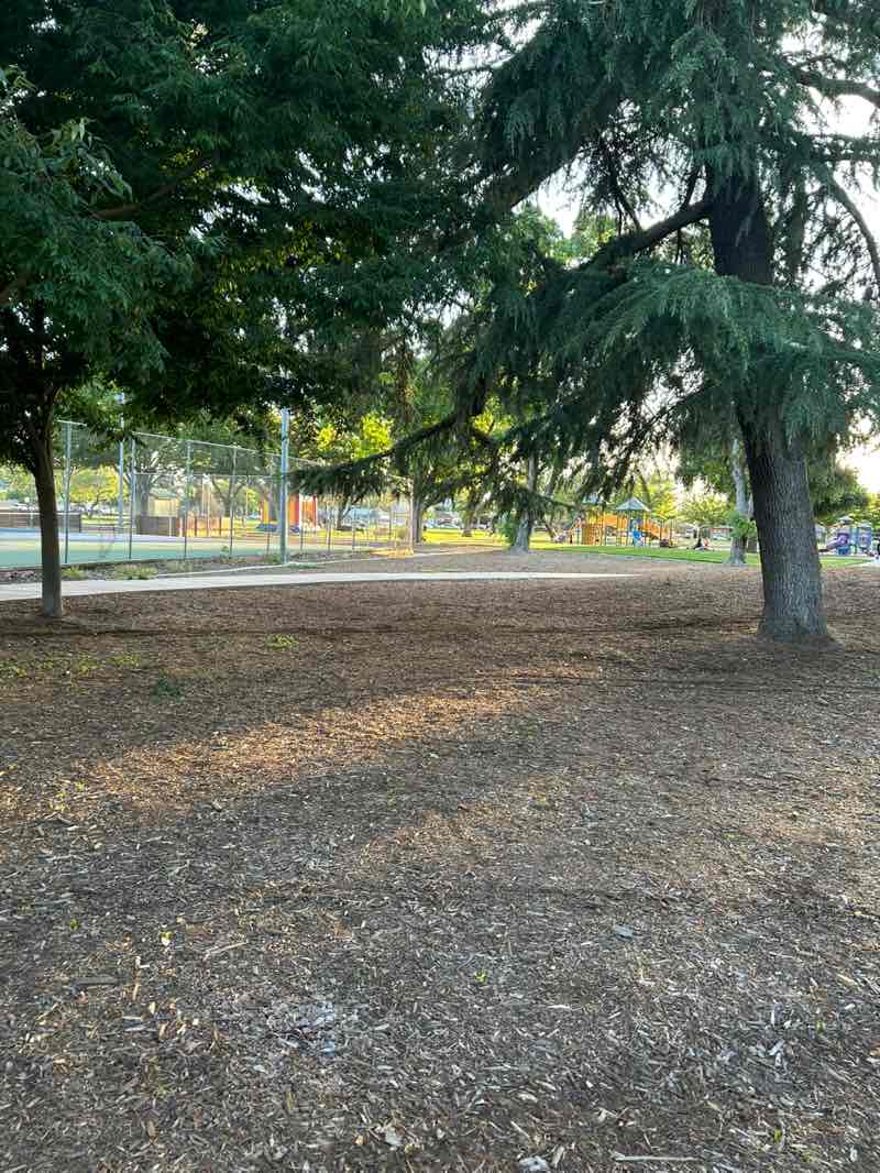 walking near me in Roosevelt Park in spring