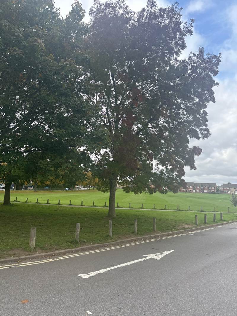 walking near me in Russell Howard Park in autumn
