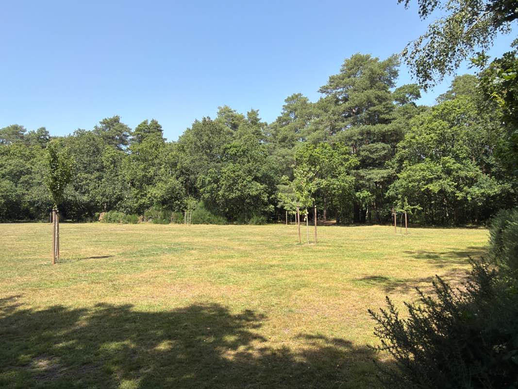 walking near me in Wigmore Road Open Space in summer
