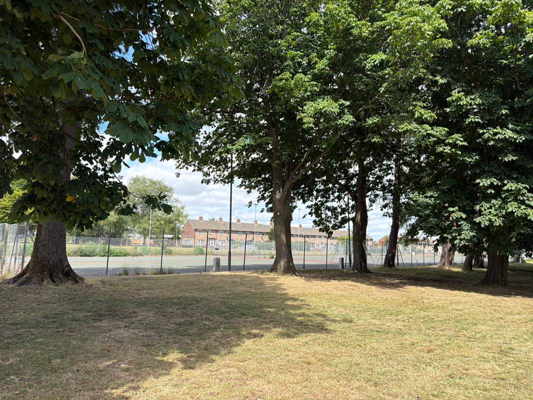 walking near me in Russell Howard Park in summer