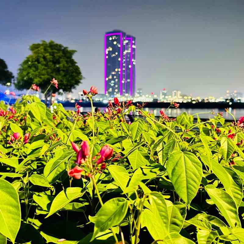 Muhammad Qureshi - Leasing - UAE post 3