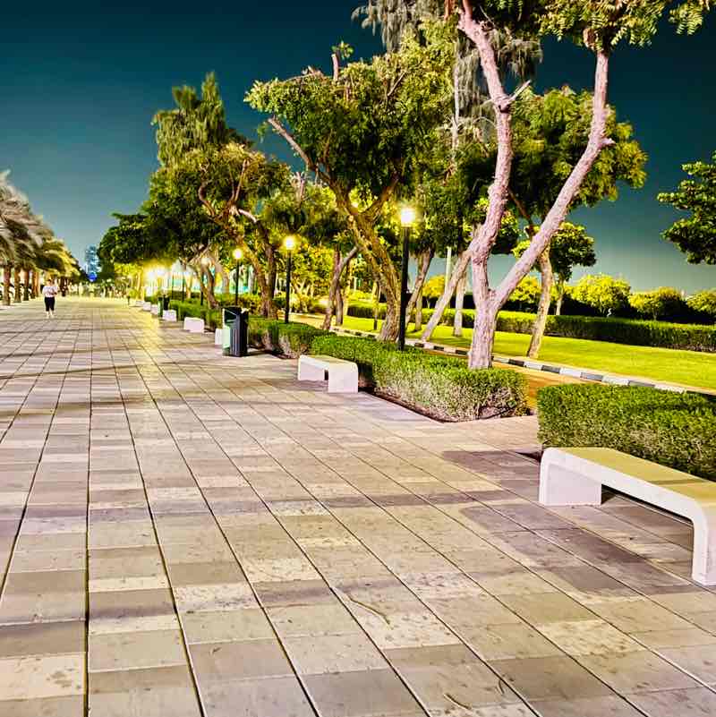 Muhammad Qureshi - Leasing - UAE post 1