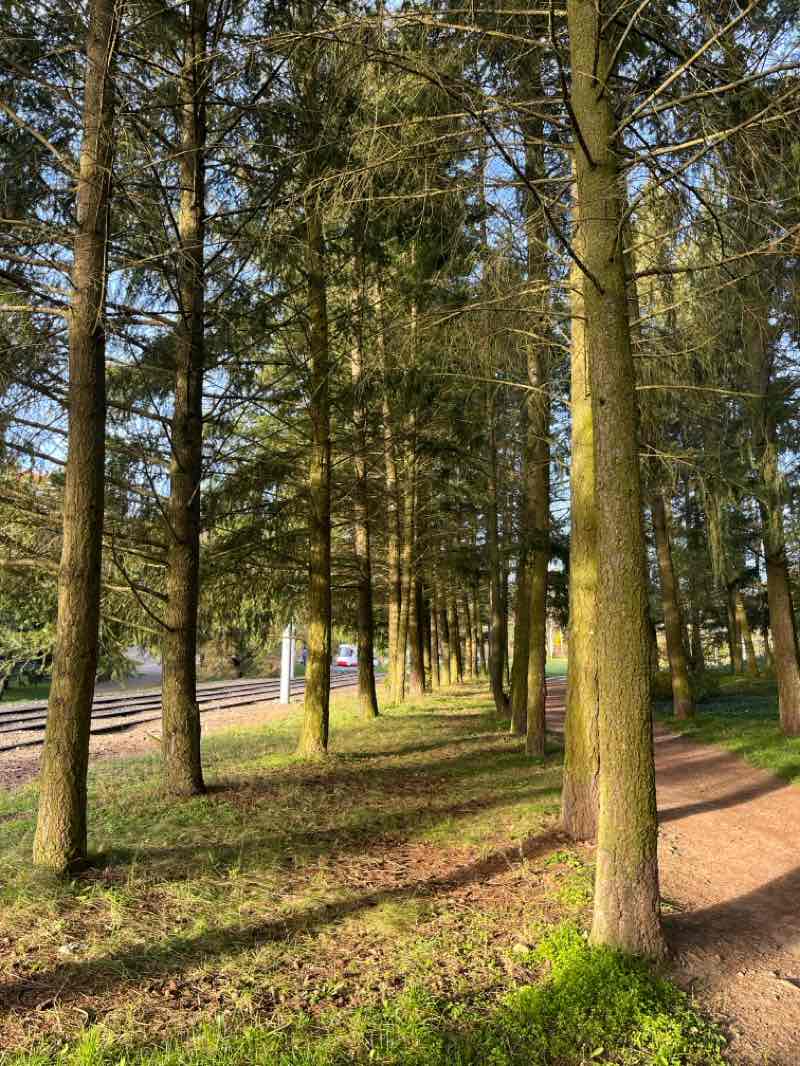 walking near me in Schreberovy zahrádky in winter