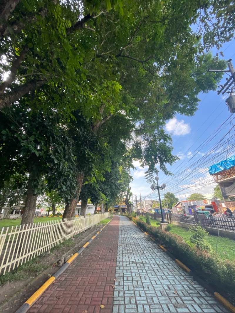 walking near me in Rizal Park in summer