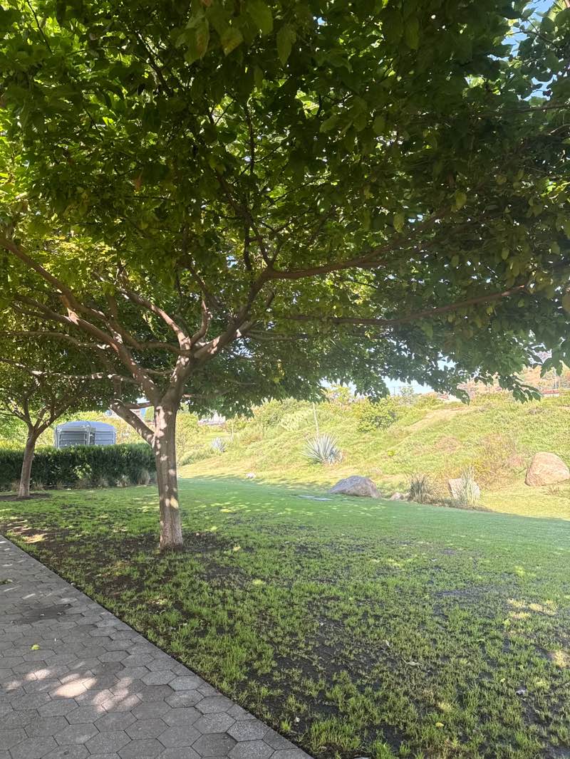 walking near me in Los Angeles State Historic Park in spring