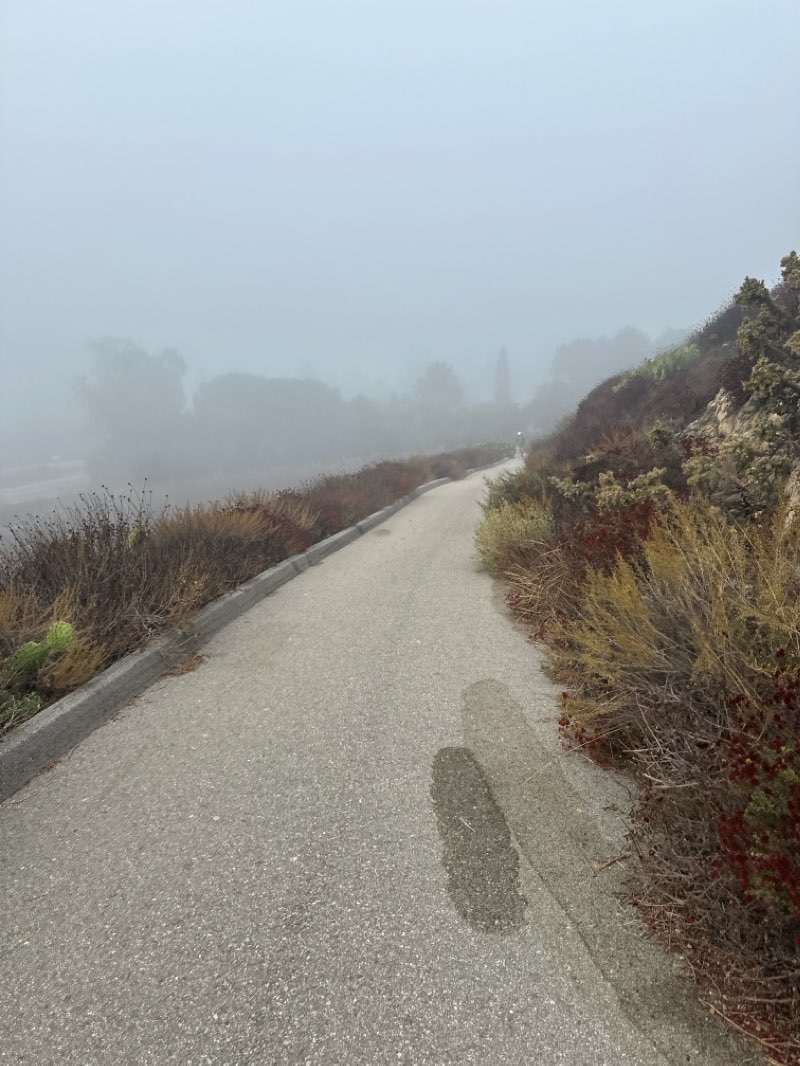 walking near me in Tarantula Hill Open Space in winter