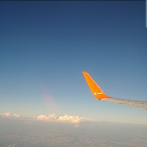 제주GoGo profile
