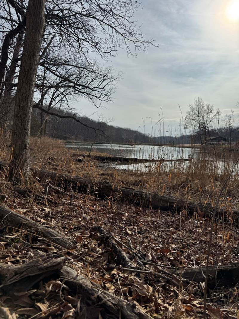 walking near me in Osage Beach City Park in spring